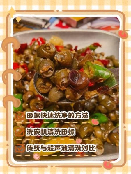 田螺怎么清洗才干净_田螺做法家常步骤