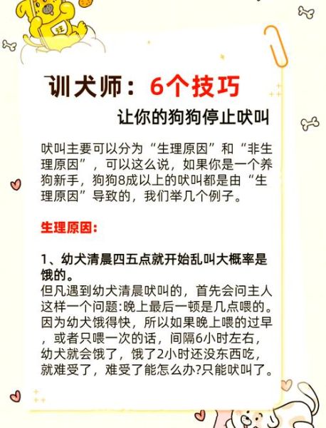 为什么狗狗总是乱叫_怎么训练狗狗不乱叫