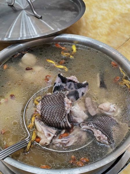 清炖蛇汤怎么做_清炖蛇汤的家常做法