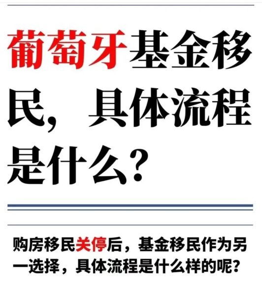 移民葡萄牙需要多少钱_葡萄牙移民最新政策2024
