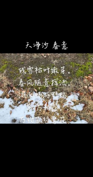 草木凋落是什么意思_草木凋落如何描写