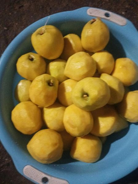 桃罐头怎么做_家庭自制桃罐头保存多久