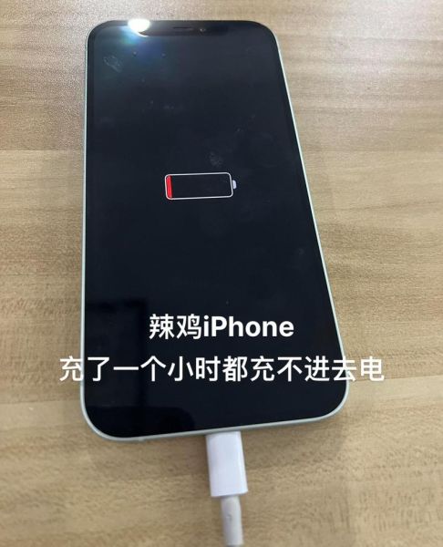 苹果手机充不进去电怎么办_充电没反应怎么修