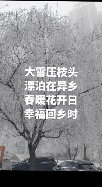 思念故乡的词语有哪些_如何用这些词语表达乡愁