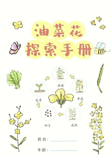 植物生长过程_植物从种子到开花需要多久