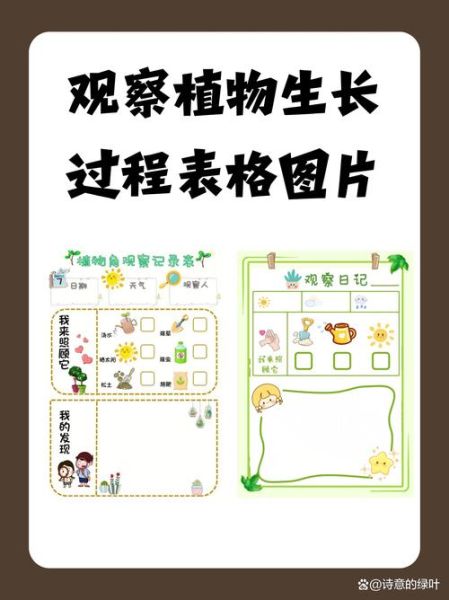 植物生长过程_植物从种子到开花需要多久