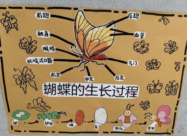 虫子行进路线有规律吗_如何观察虫子行进轨迹