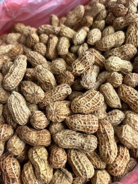 水煮花生怎么煮入味_水煮花生需要泡多久