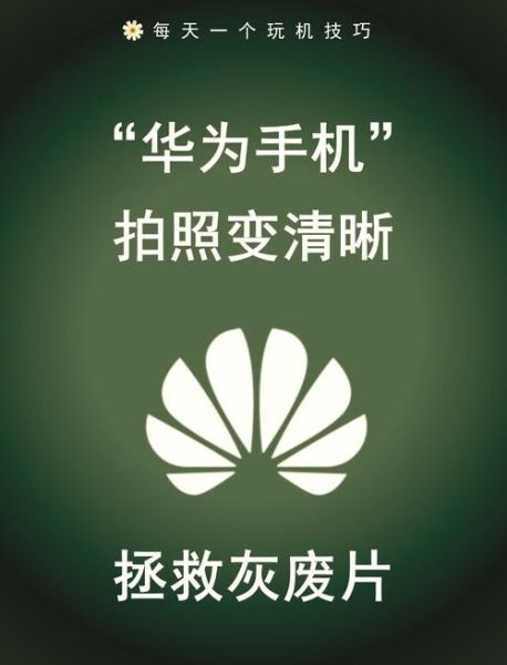 手机拍照怎么调才清晰_手机拍照模糊怎么解决