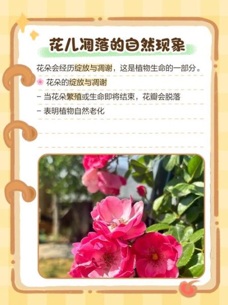 凋落是什么意思_植物凋落的原因有哪些