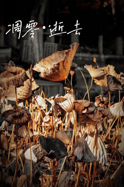 凋落是什么意思_植物凋落的原因有哪些