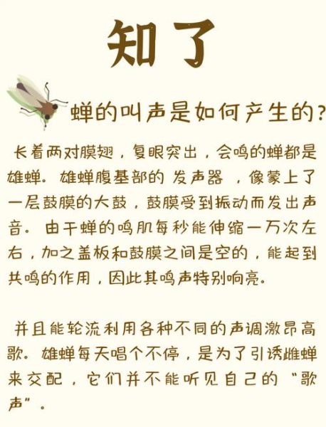 知了声音像什么_知了叫声怎么形容