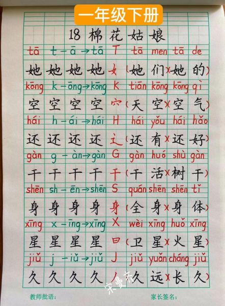 棉花怎么写词语_棉花组词有哪些