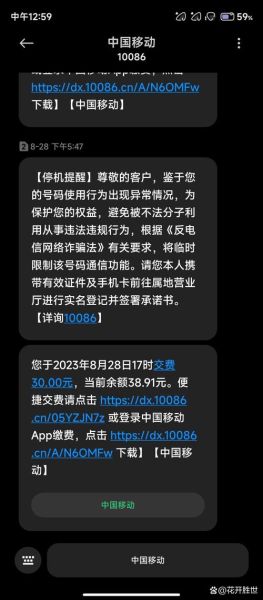 手机号码被暂停服务怎么办_停机原因查询