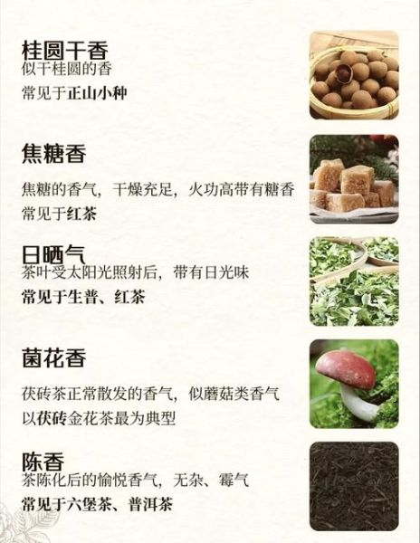 身上气味怎么形容_体味词汇大全