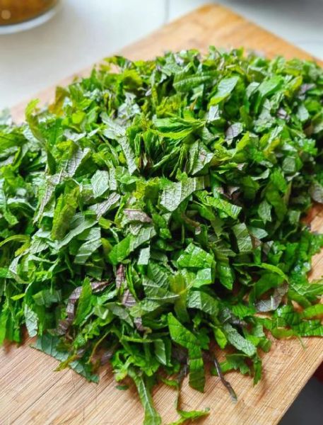 紫苏怎么炒好吃_紫苏叶的做法大全