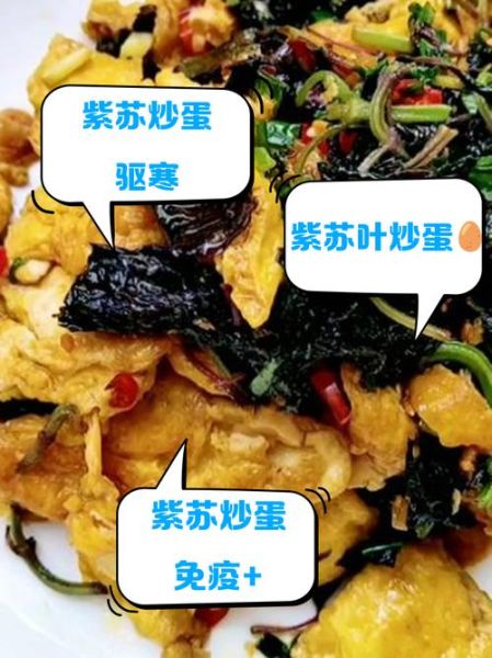 紫苏怎么炒好吃_紫苏叶的做法大全
