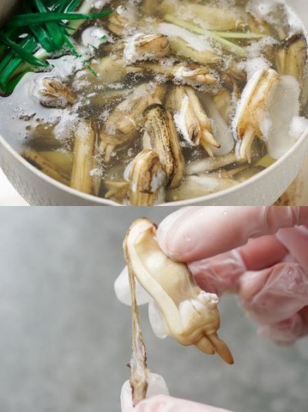 蛏子怎么清洗_蛏子怎么做好吃