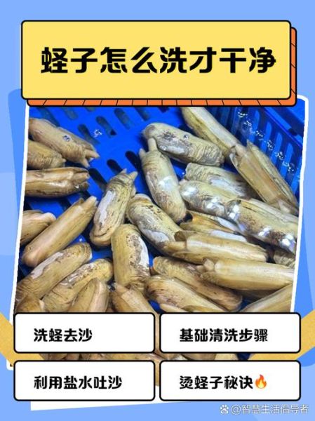 蛏子怎么清洗_蛏子怎么做好吃