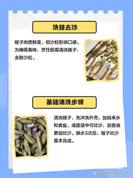 蛏子怎么清洗_蛏子怎么做好吃