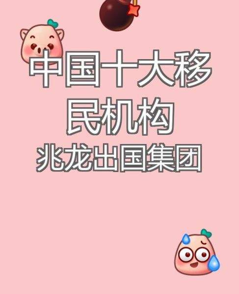 中国十大移民机构哪家好_移民机构怎么选