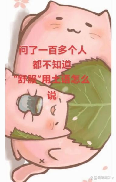 舒适是不是词语_如何正确使用