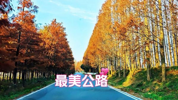 赞叹公路的词语有哪些_如何形容最美公路