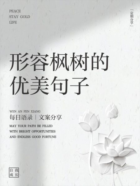 枫树怎么形容_枫叶像什么比喻句