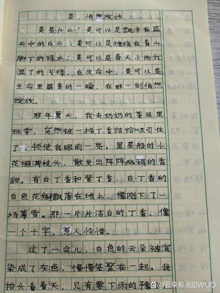 语文怎么写_作文怎么写