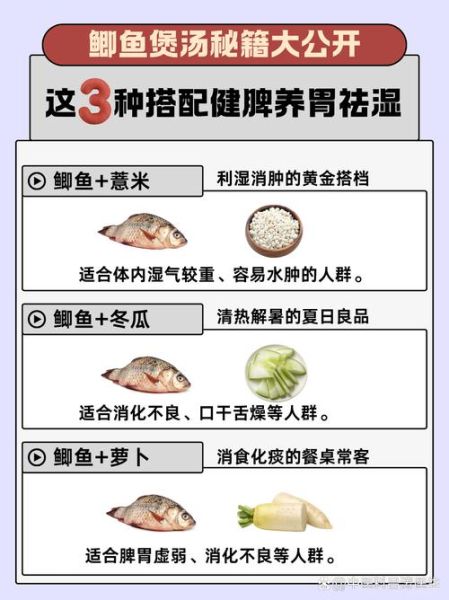 家常炖鲫鱼怎么做_炖鲫鱼汤白不腥的秘诀