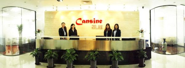 凯胜移民怎么样_凯胜移民靠谱吗