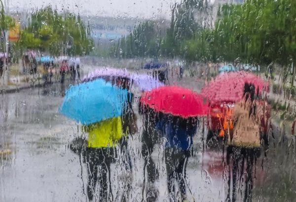 春雨绵绵_春雨有哪些特点