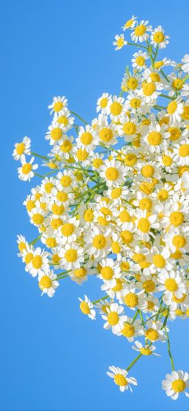 手机图片大全大图哪里找_如何下载高清原图