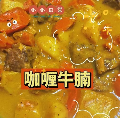 咖喱怎么做才好吃_咖喱的家常做法