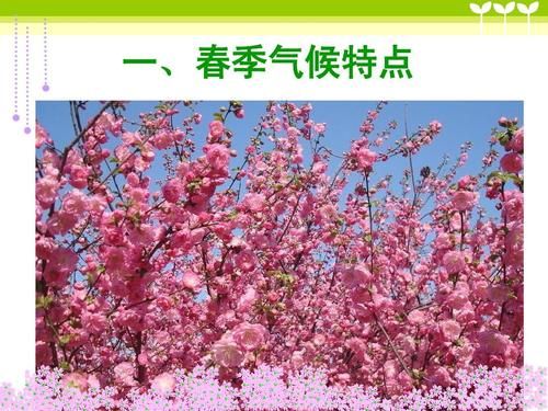 春天气候特点_春季天气变化大吗