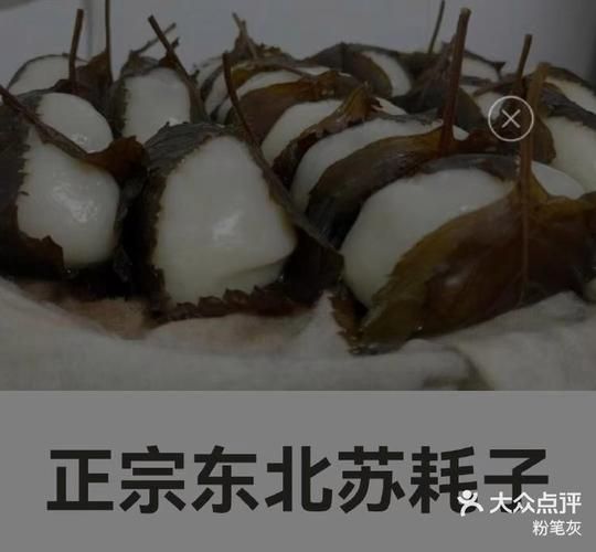 苏耗子怎么做_苏耗子做法大全