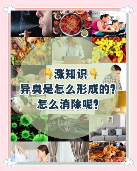 臭空气对人体有什么危害_如何快速去除室内臭味