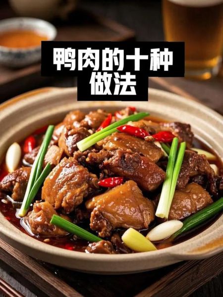 鸭肉怎么做好吃_鸭肉的做法大全