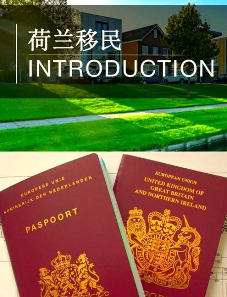 结婚移民荷兰需要什么条件_荷兰结婚移民流程多久