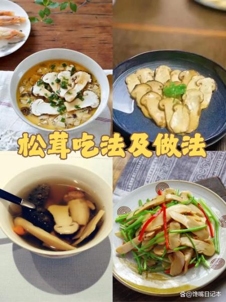 鲜松茸怎么做好吃_鲜松茸的做法大全