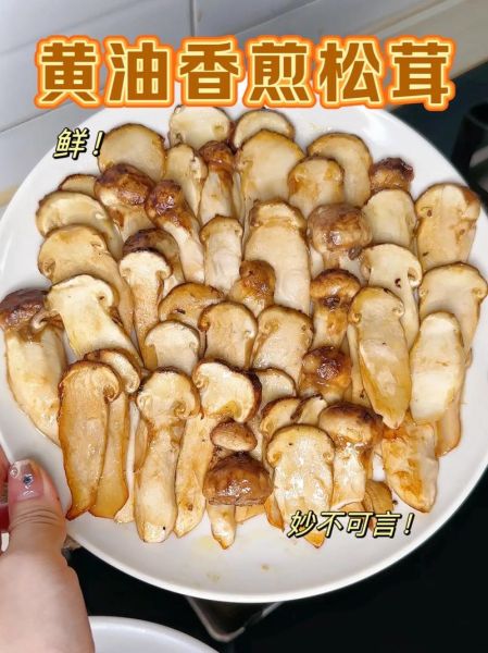 鲜松茸怎么做好吃_鲜松茸的做法大全