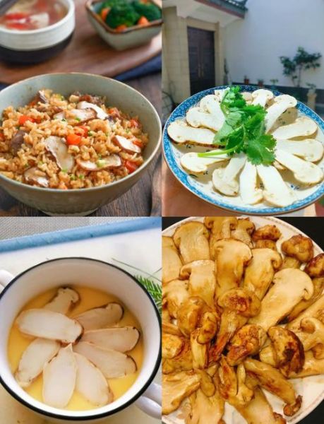 鲜松茸怎么做好吃_鲜松茸的做法大全