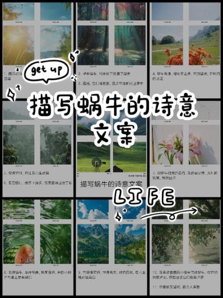 蜗牛为什么爬得慢_形容蜗牛的词语有哪些