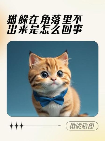 躲在角落怎么办_躲在角落怎么克服