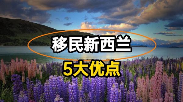 移民新西兰好处有哪些_新西兰移民真实生活体验