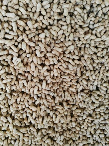 花生外壳长什么样_花生表面纹路有哪些