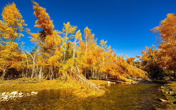 秋天河水怎么描写_秋天河水有什么特点