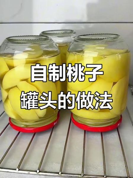 自制桃子罐头怎么做_桃子罐头能保存多久