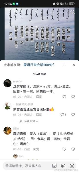 蒙人词语有哪些_如何辨别蒙人词语