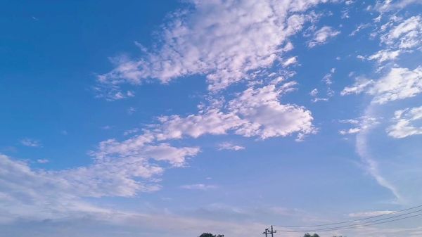 云淡风轻是什么意思_云淡风轻的出处